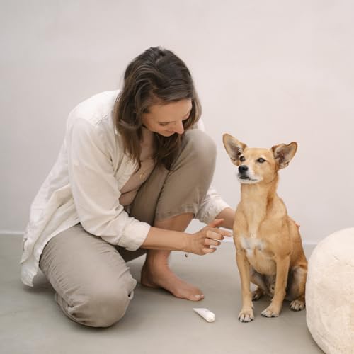 LILA LOVES IT Silbercreme für Hunde – Akutpflege mit Aloe Vera, Shea Butter und Mikrosilber, nanofrei, beruhigt und pflegt gereizte Hundehaut intensiv, SILVERCREAM, 30 ml