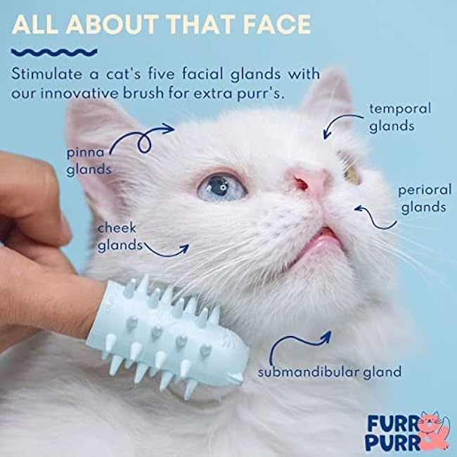 Furr&Purr Cat Brush Set for Indoor Cats - Grooming Tools: Face Scratcher, Calming Massager, and Scratching Pad (2-Pack, Made in the USA)-raTYPdkL