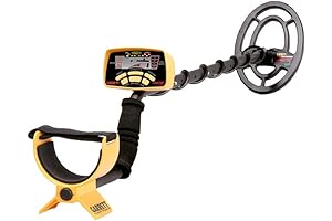 Garrett ACE 250: Discover Buried Treasures with Ease