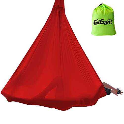 (�M�O�A���g) GiGant �G�A���A�����K ��p 5��×2.8�� �n�����b�N �P�� �󒆃��K ���d�� �G�N�T�T�C�Y �G�A�� ���K �������K�i (�`�F���[���b�h)