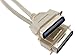 CablesOnline 6ft. Centronics-36 Male to Centronics-36 Male 36-Conductor Printer Cable, P-4006