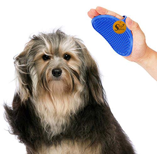 Sage Square 2 in 1 Adjustable Dog Brush / Pet Comb for Grooming cum Massager & safety for Pets from Mites/Lice/Ticks for Dog / Puppy / Kitten / Cat (Blue) (B079SKNCMV) Amazon Price History, Amazon Price Tracker