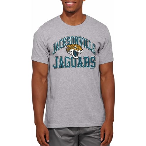 FOCO NFL Unisex Adult Officially Licensed Arched Wordmark Football Short Sleeve Crewneck T-Shirt - Jacksonville Jaguars - Gray - X-Large
