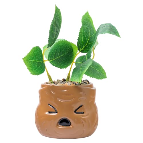 Image of Silver Buffalo Harry Potter Mandrake Face, Artificial Faux Planter | Decorative, Greenery Plant in, Ceramic Pot