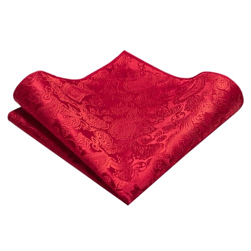 Image of JEMYGINS Mens Solid Color Paisley Necktie and Pocket Square with Tie Clip Sets