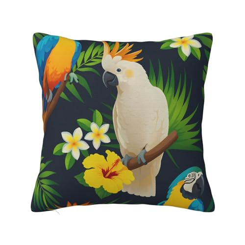  ԕ t Jo[  Bt@Xi[ zc􂦂 24"X24"