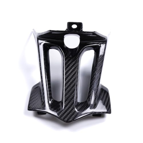 Support de plaque arrière moto en carbone sec pour carénage BMW S1000XR 2019