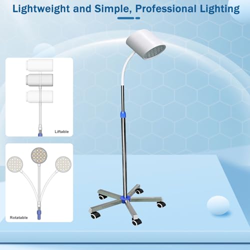 Lampe mobile pour animaux de compagnie et auscultation médicale sans ombre - 2