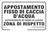 Social Crazy