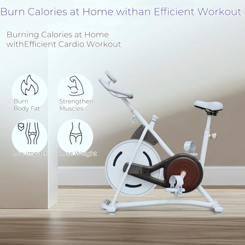 Image of NAYSAYE Exercise Bike, Adjustable Stationary Bikes with Smartphone Mount, Professional Exercise Bike with Digital Pulse Display for Home and Office