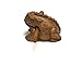 Natural Wooden Croaking Frog Rasp Guiro Tone Block 5