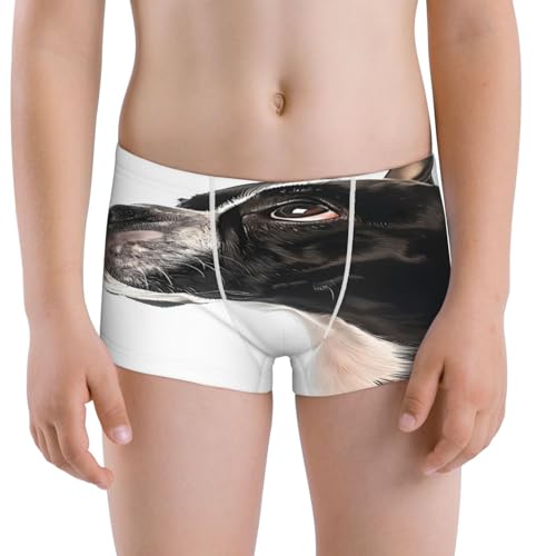 Boys' Cotton Boxer Brief Soft Underwear-Black And White Boston Terrier - Main Image