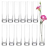 Parfaits pour toutes les occasions : que vous mettiez en scène un dîner romantique en tête-à-tête, que vous organisiez une réunion de famille ou que vous décoriez un bureau, un banquet ou un mariage, ces vases à bourgeons en grande quantité offrent la touche d'élégance parfaite pour toutes les occasions.