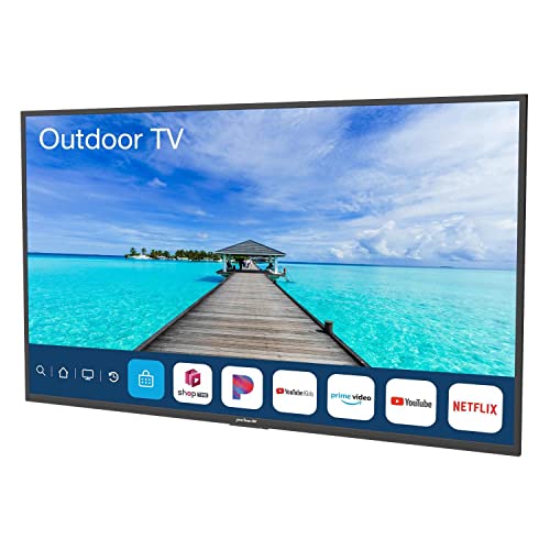 Peerless-AV 55' Neptune Partial Sun 4K HDR Outdoor Smart TV w/Free Outdoor Tilting Wall Mount (WPTV553)