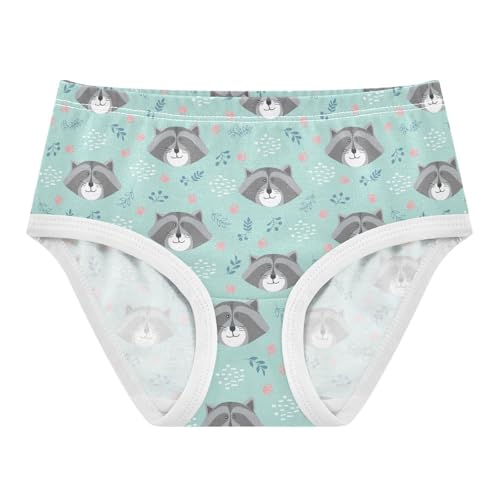 Wusikd Cute Raccoon Girls' Underwear Cotton Paws Girls Briefs Soft Toddler Underwear 4T
