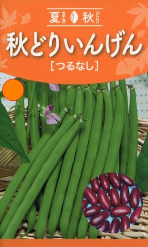 株式会社トーホク 秋どりつるなしいんげん カーニバル 01755のサムネイル