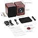 Saiyin Speakers for Vinyl Record Player, Bluetooth Turntable Speakers with 45 RPM Adapter and AUX Input(Turntable not Included)