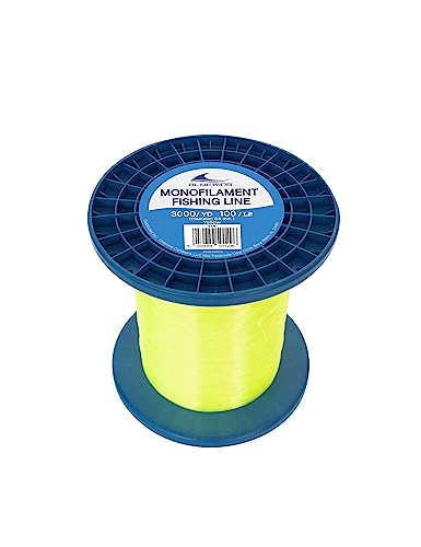 Image of BLUEWING Monofilament Fishing Line Clear Mono Fish Wire Thin Diameter String 6-400 lbs, 50-3000 Yards