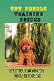Toy Poodle Training Tricks: Start Training Your Toy Poodle In Hour One