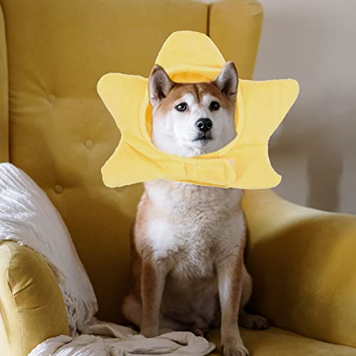 Disfraz para perro Sombrero hawaiano 2 piezas miniatura 4
