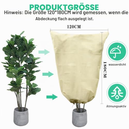 DHGKVK 2 Stück Pflanzenschutz Winter,120 * 180CM große Größe winterschutz für Pflanzen, Atmungsaktiv,Reißfest,Wiederverwendbar… – Ansicht 2