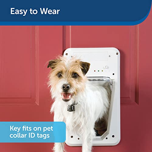 PetSafe SmartKey Elektronischer Schlüssel für Hunde und Katzen Halsbänder - Kompatibel mit Elektronischer SmartDoor Haustiertür, Wasserdichtes Design