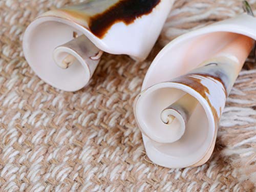Alilang Dangling Chunky Sculptural Spiral Sea Shell Ocean Jewelry Earrings #TOP5