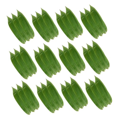 Lurrose 100 |t` iMhg apo ؂̐tɓKϋv|t}bg