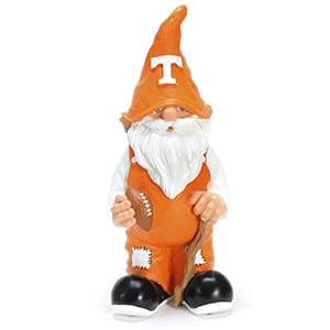 FOCO Tennessee 2008 Team Gnome