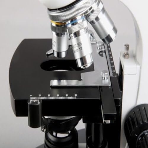 Image of AmScope T360B-10M Digital Trinocular Compound Microscope, 40X-2000X Magnification, WF10x and WF20x Eyepieces, Brightfield, LED Illumination, Abbe Condenser, Double-Layer Mechanical Stage, Includes 10MP Camera with Reduction Lens and Software