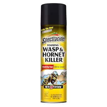 Spectracide Foaming Wasp & Hornet Killer, 14 Oz