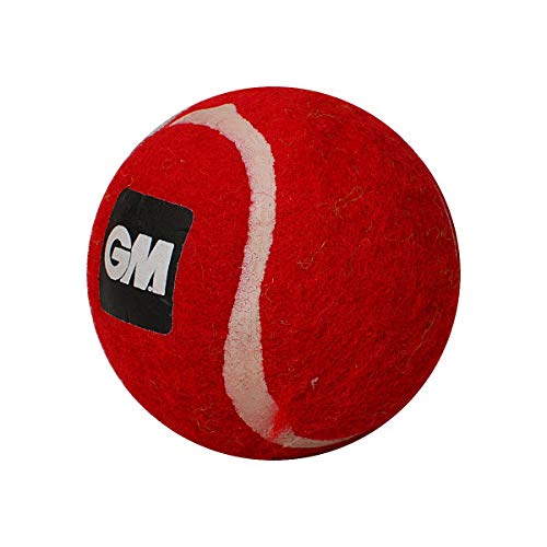Image of GM First Lite Synthetic Tennis Cricket Balls (Red)