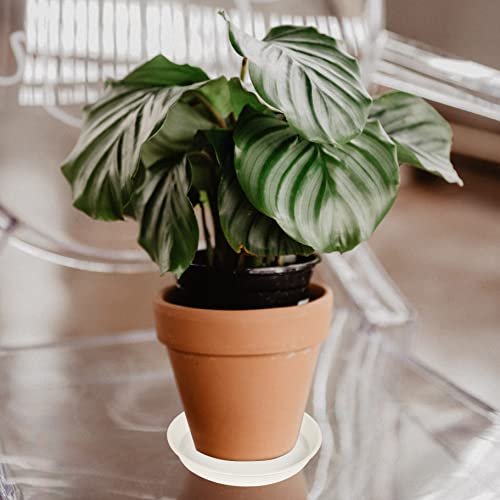 Angde 6 Pack Plant Saucer Pot Tray 4 6 8 10 12 14 Inch, Durable Plastic Plant Saucer Round, Plant Trays For Pots, Plant Saucers For Indoors, Flower Plant Drip Tray, Pot Saucers (6 Inch, Grayish White) #TOP4