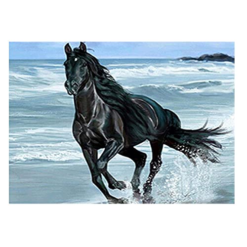 Broderie diamant cheval anti-stress peinture mosaïque 5D