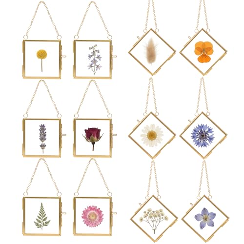 Cadre fleurs séchées BABUFINE mini herbier mural suspendu avec chaîne - 2