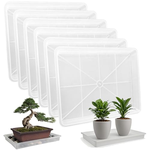 MUZHI 3 Pack Plastic Bonsai Humidity Trays, Rectangle Plant Growing Saucer Water Catcher Drip Tray...