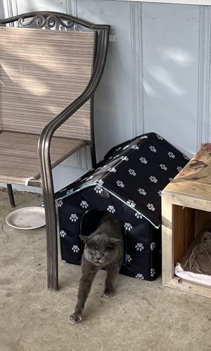 Maison pour chat extérieur protégeant du vent et des intempéries hivernales - 4