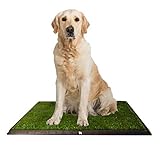 Puppy Potty Grass Toilet Trainer  Tray for Dogs and Puppies Large 20 x 25 Inch. Training Grass Pee Pad For Indoor, Outdoor Use, Porches, Apartments and Houses  Grass Turf Mat