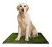Puppy Potty Grass Toilet Trainer Tray for Dogs and Puppies Large 20 x 25 Inch. Training Grass Pee Pad For Indoor, Outdoor Use, Porches, Apartments and Houses Grass Turf Mat
