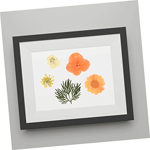 Kit artesanal LIFKOME 40 piezas flores secas para decoración miniatura 4