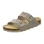 Beige reptile