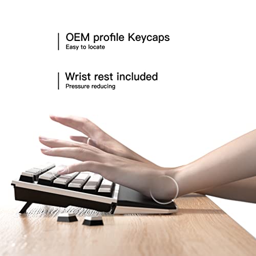 Hexgears X3 Tkl 2.4Ghz Wireless Mechanical Keyboard With Gold Kailh Box Switches, Tenkeyless Compact Gaming Keyboard, Ergonomic 87-Key Typewriter Keyboard With Wrist Rest #TOP3