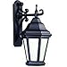 Troy BFCD6890MB Verona Collection One Light Wall Lantern, Matte Black