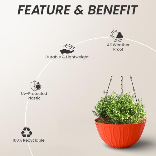 Image of YUCCABE ITALIA SHERA Hanging Wave 8 Inch Plastic Flower Pot for Plant Pack of 6 Pcs Round Shape Hanging Pot for Balcony Railing Planters for Indoor and Outdoor Garden (Multicolor)