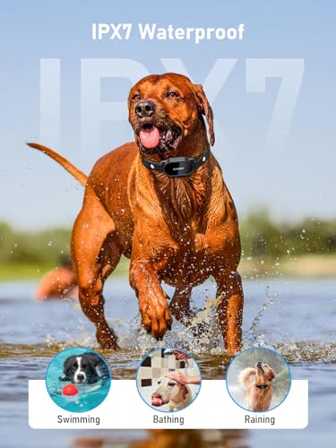 Dog Training Collar - Dog Shock Collar with Remote Range 2000FT, 3 Training Modes, IPX7 Waterproof, Rechargeable Electric Shock Collar for 5-120lbs Small Medium Large Dogs (A1) - Image 6