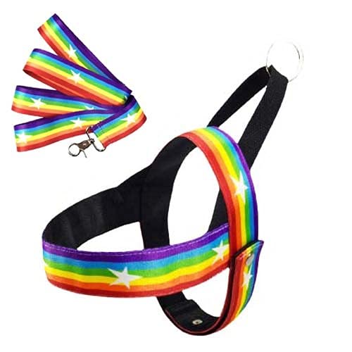 See full amazon price history chart for KUTKUT Soft Mesh Padded Rainbow Small Dog Vest Harness and Matching Leash | Quick Fit Dog Harness for ShishTzu, Pomeranian, Poodle etc. (Size: S, Adjustable Chest: 40-50 cm) KUTKUT Soft Mesh Padded Rainbow Small Dog Vest Harness and Matching Leash | Quick Fit Dog Harness for ShishTzu, Pomeranian, Poodle etc. (Size: S, Adjustable Chest: 40-50 cm) (B09HS8NPLH) Amazon Price History, Amazon Price Tracker