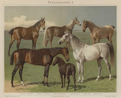 Impression d'affiches Toile Races de chevaux Emil Volkers portrait d'art haut de gamme