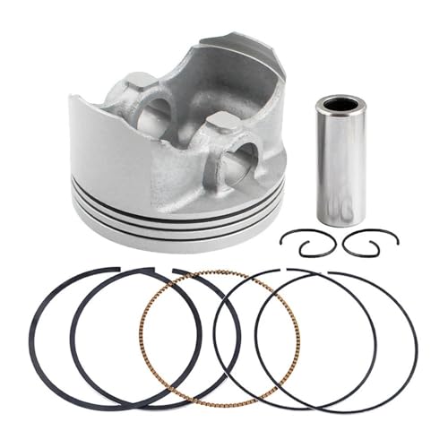 I[goCANZT[ sXgO tLbg XG250 T250 2004-2007p(1 Set 75.5mm)