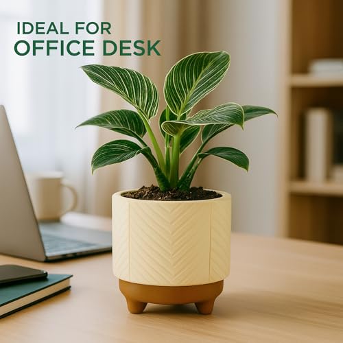Image of Urban Plant Terracotta Pot - Trendy Planter for Modern Home & Garden Spaces (Emerald Terracotta Pot)