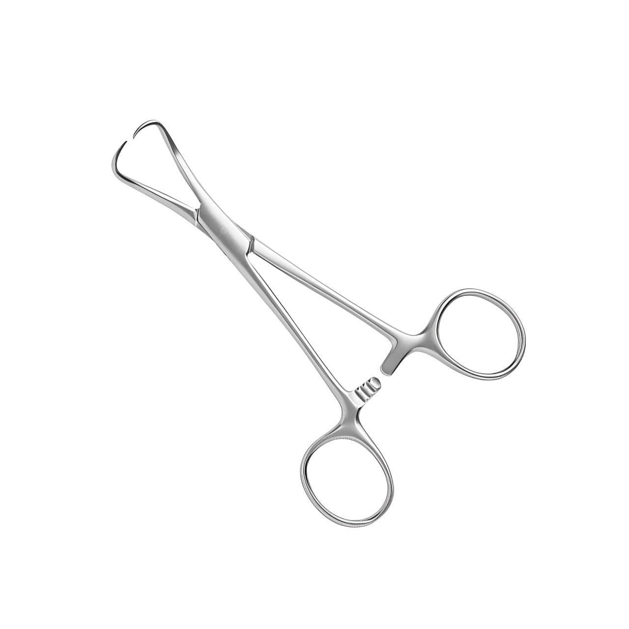 Backhaus Towel Clamp Forceps 5.5